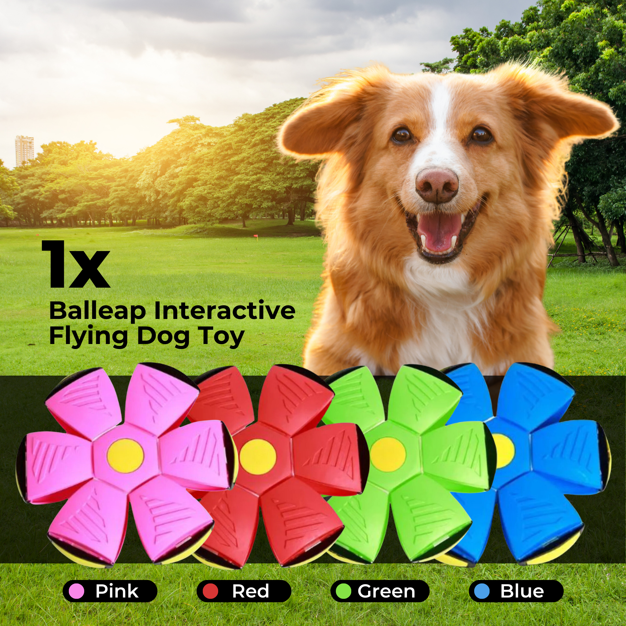 Balleap Interactive Flying Dog Toy