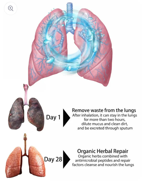 Organic Herbal Lung Cleanse Repair Nasal Spray | BUY 1 GET 2