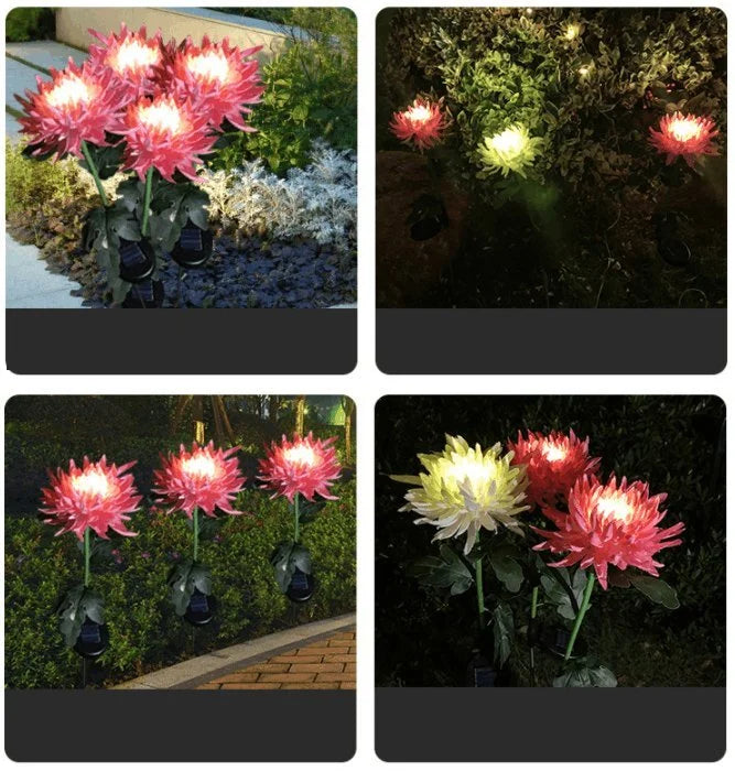 SolarGlow™ - Chrysanthemum solar garden plug LED [last day discount]