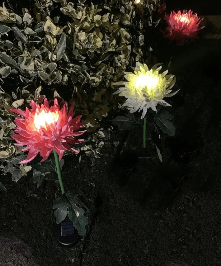 SolarGlow™ - Chrysanthemum solar garden plug LED [last day discount]