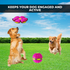 Balleap Interactive Flying Dog Toy