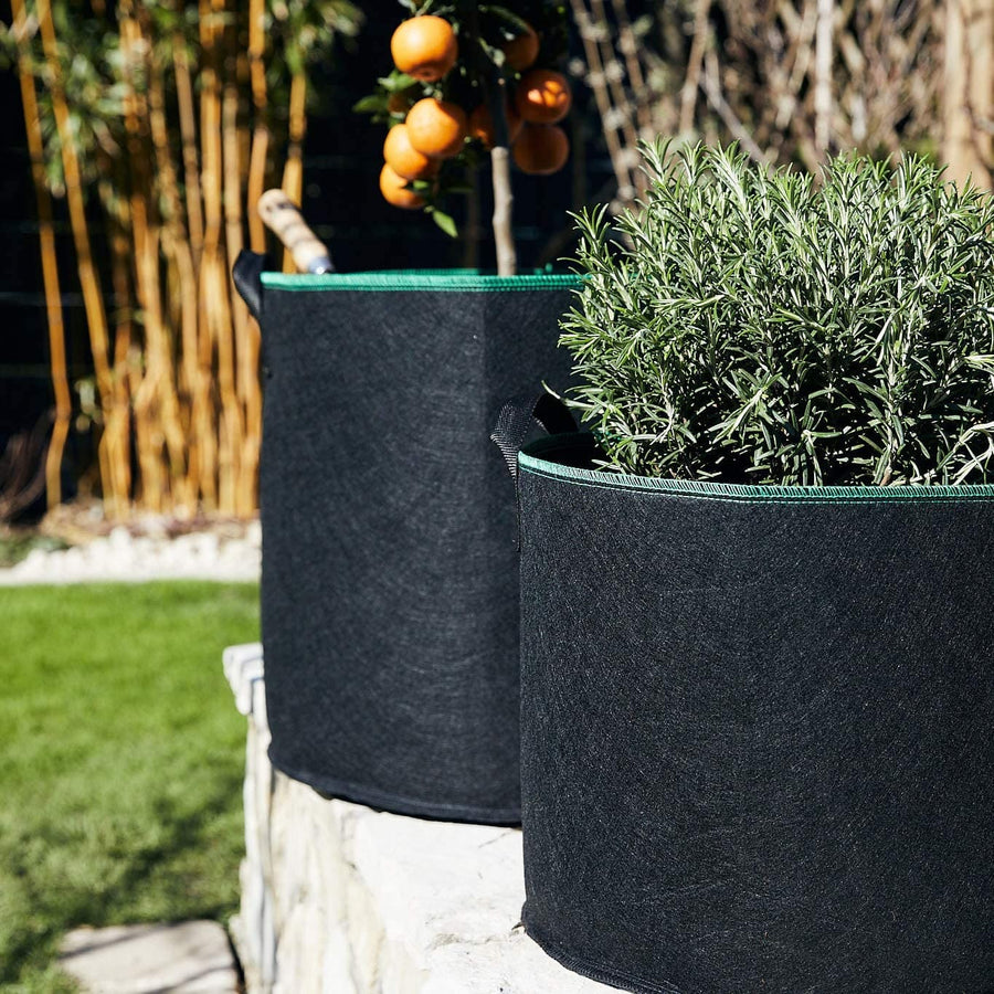 Micro-ventilated geotextile planting bag 【Last day discount】