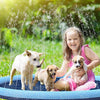 DogBrunne™ - Keep your faithful friend cool on hot summer days! [Last day discount]