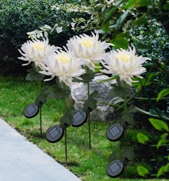 SolarGlow™ - Chrysanthemum solar garden plug LED [last day discount]