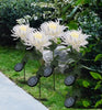 SolarGlow™ - Chrysanthemum solar garden plug LED [last day discount]