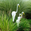 WhirlWing™ - Dancing Birds Garden Metal Art [Last day discount]