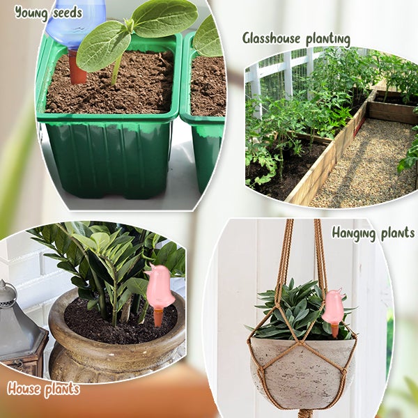 DripTweet™ - Hassle-free plant care for busy gardeners! [Last day discount]