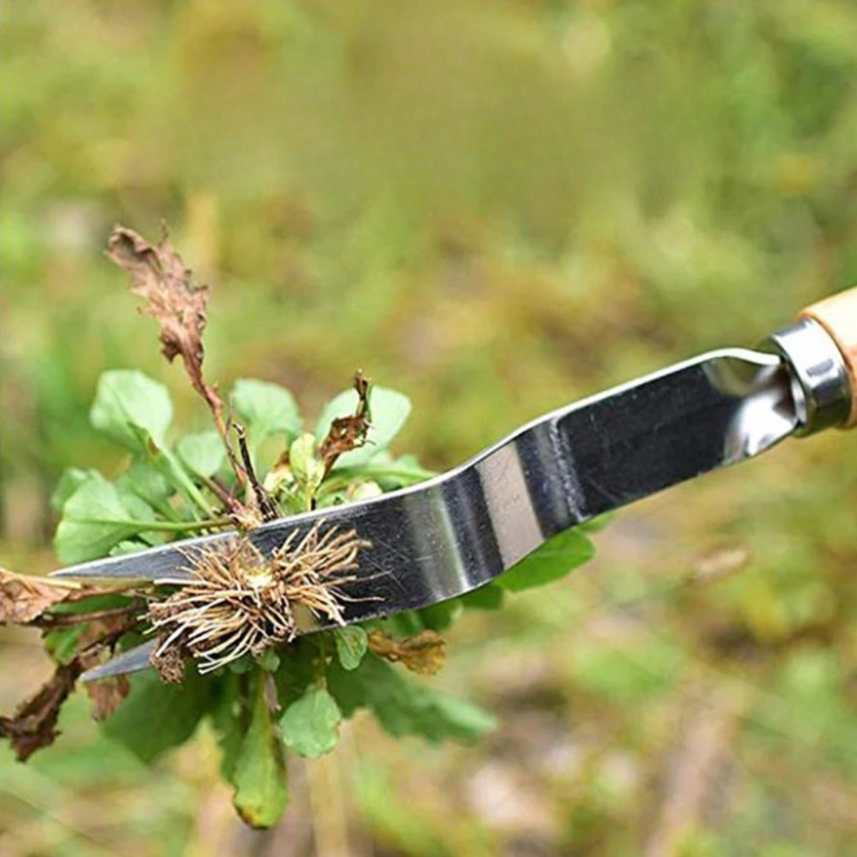 WeedWhack™ - Manual weed removal in the garden [Last day discount]