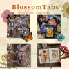 MemoryBlooms™ - DIY Transparent Bookmarks [Last day discount]