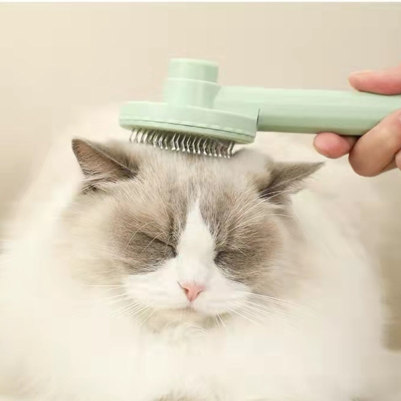 One-click hairbrush/remover for pets