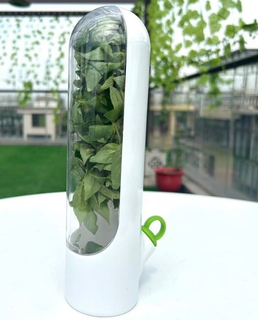 Freshgreens Freshness-Preserving Veggie & Herb Storage Containers | BUY 1 GET 1 FREE (2PCS)
