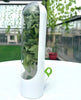 Freshgreens Freshness-Preserving Veggie & Herb Storage Containers | BUY 1 GET 1 FREE (2PCS)