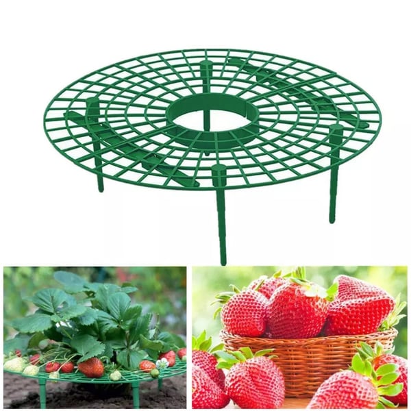 Berryrack Strawberry Planting Frame | BUY 2 GET 1 FREE (3PCS)