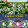 Solar Flare™ - Turn your garden into a nocturnal oasis! [Last day discount]