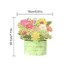 Florapop 3D Pop-Up Flower Greeting Card