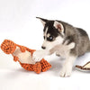 BUY 1 GET 2! RobustDino™ - Indestructible Dog Toy